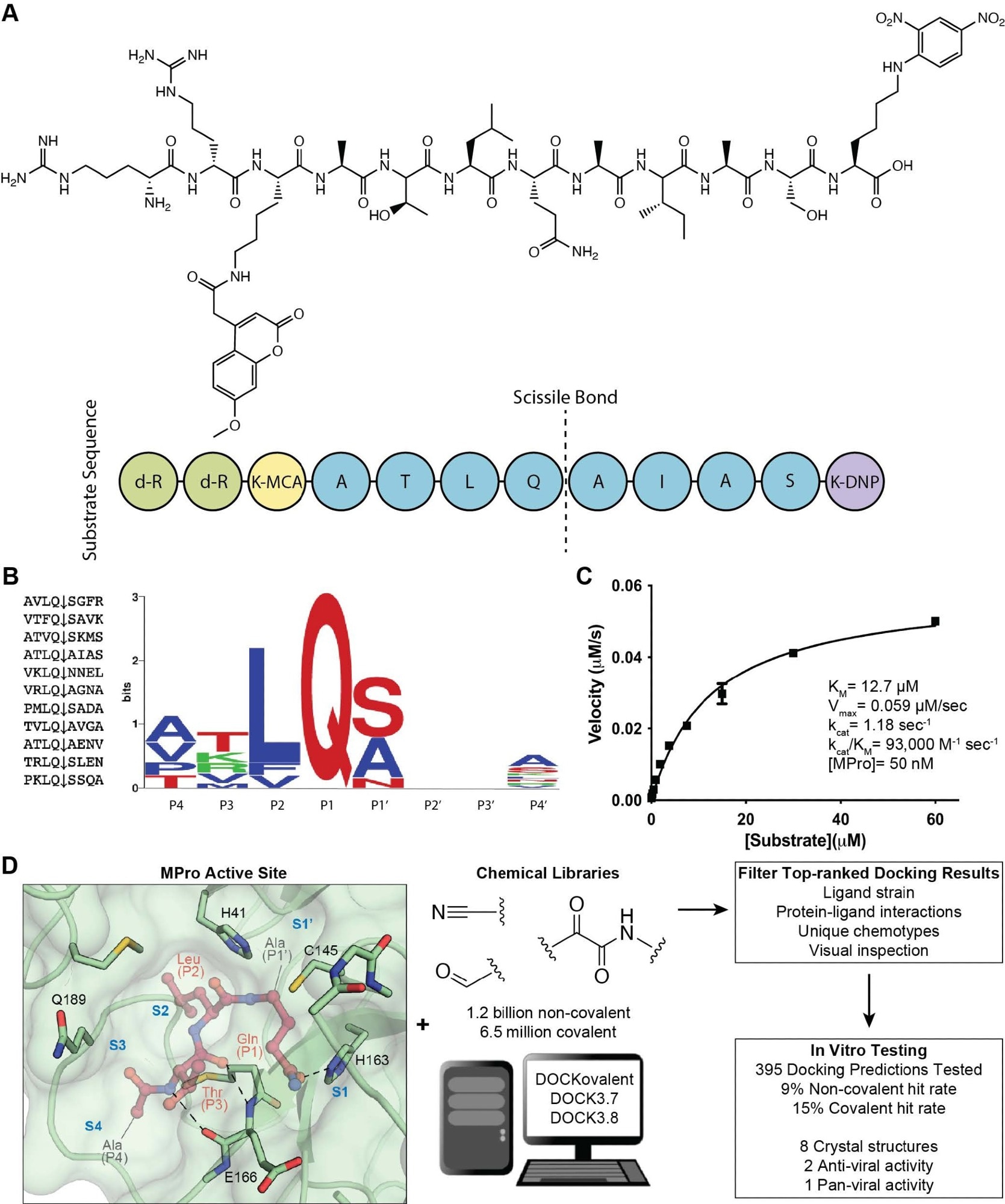 Substrate design and assay development allows structure-based inhibitor discovery. (A) The chemical structure of the optimized NSP7 substrate shown as a schematic (top) of the substrate sequence highlights the role of each residue (bottom). The substrate contains the P4-P4′ NSP7 extended substrate sequence (blue), the fluorophore (yellow), the fluorescent quencher (purple), and the residues for increasing solubility (green). (B) A list of the viral polypeptide NSP sequences (P4-P4′) that are cleaved by MPro (left). The sequenceLOGO highlighting the substrate specificity of MPro, yielding a P4-P4′ consensus sequence: ATLQ(S/A)XXA (right). (C) The Michaelis-Menten kinetics for the NSP7 substrate with MPro yield parameters indicative of an optimized, efficient substrate. (D) SARS-CoV-2 MPro active site (PDB 6Y2G)26 (green; sub-pockets S1′, S1, S2, S3, S4), shown here with substrate preferences (pink; P1′, P1, P2, P3, P4) (modeled after PDB 3SNE)27, was used to dock 1.2 billion non-covalent molecules and 6.5 million electrophile molecules. Top-ranked molecules were filtered and 395 were synthesized for in vitro testing. Some docking hits were prioritized for compound optimization, crystallography, pan-viral enzymatic activity, and cell-based antiviral activity. For C, experiments were performed in triplicate.