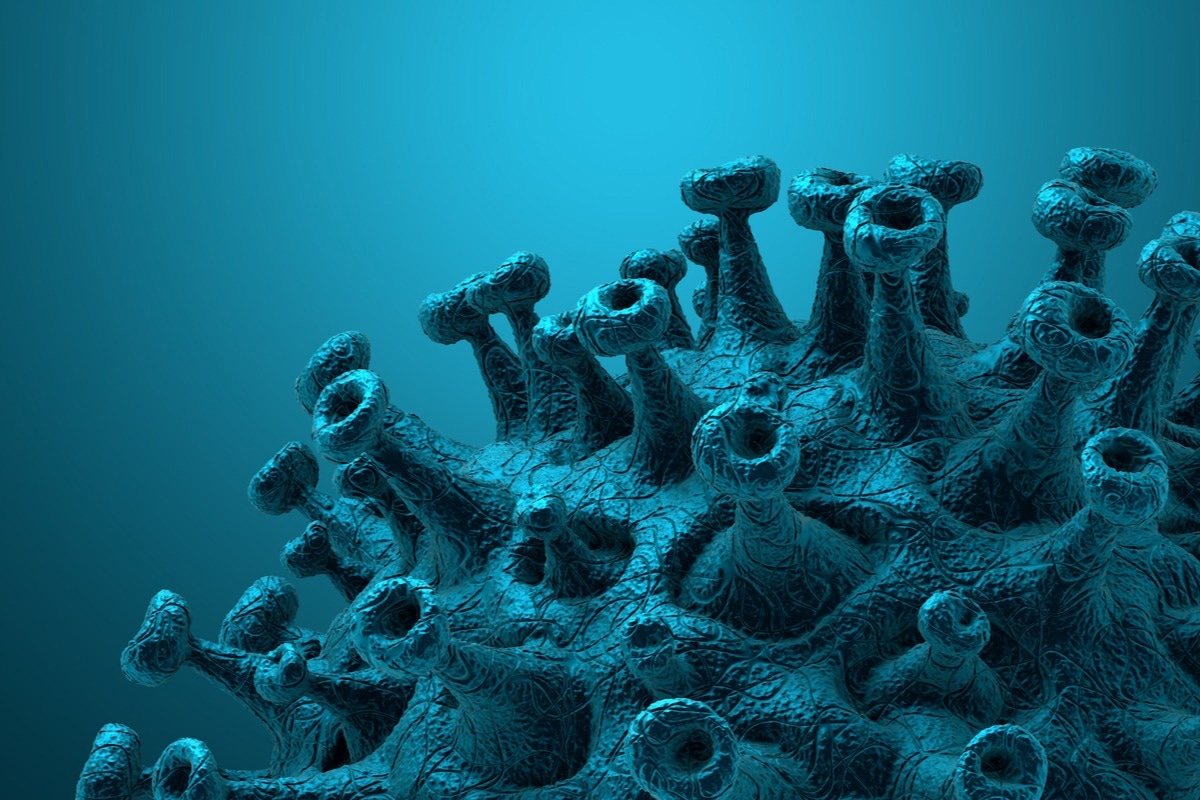 Study: GenomeBits insight into omicron and delta variants of coronavirus pathogen. Image Credit: CROCOTHERY/Shutterstock