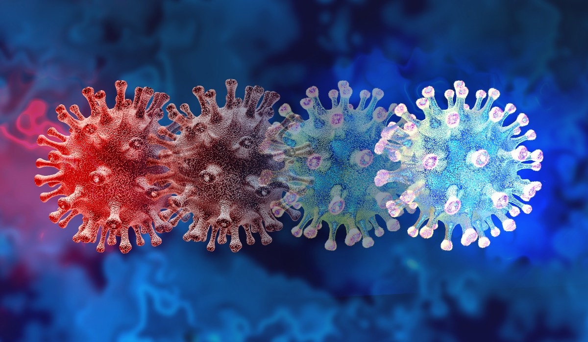 Study: Association between BNT162b2 vaccination and reported incidence of post-COVID-19 symptoms: cross-sectional study 2020-21, Israel. Image Credit: Lightspring/Shutterstock