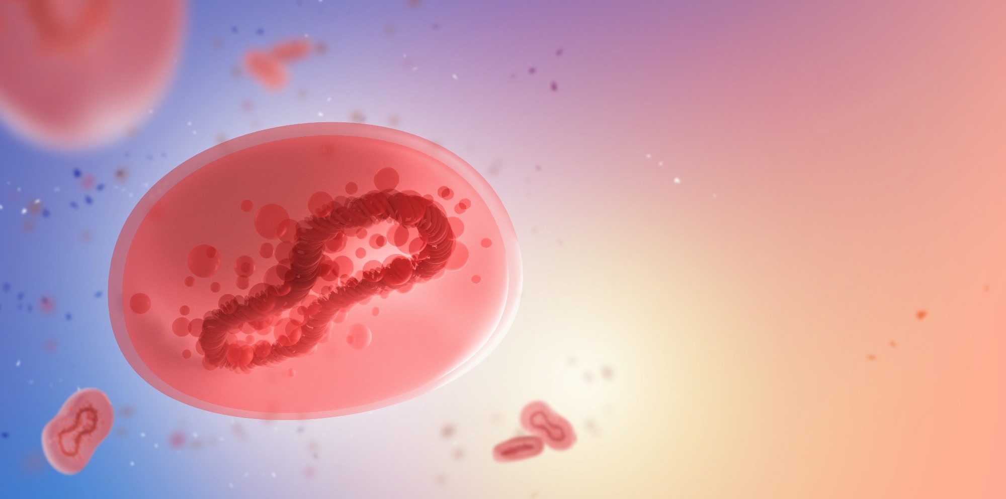 Study: Genomic accordions may hold the key to Monkeypox Clade IIb