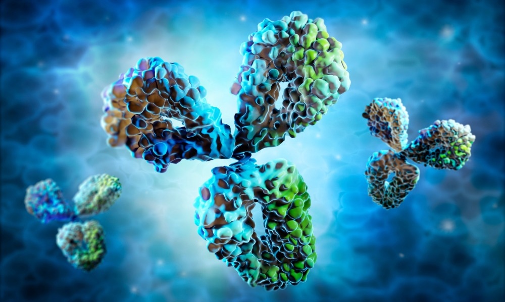 Study: Functional antibodies exhibit LIGHT CHAIN COHERENCE. Image Credit: peterschreiber.media / Shutterstock.com