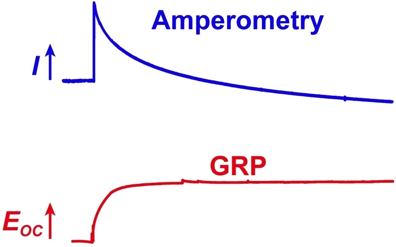Electrochemical microsensor enables real-time study of serotonin dynamics in the brain