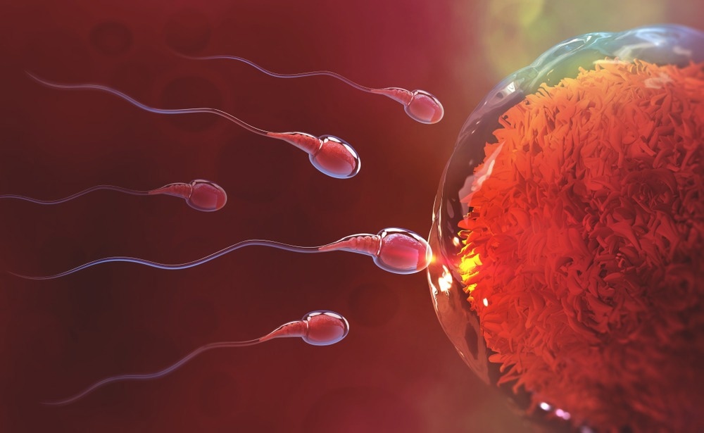 Study: On-demand male contraception via acute inhibition of soluble adenylyl cyclase. Image Credit: Yurchanka Siarhei / Shutterstock.co