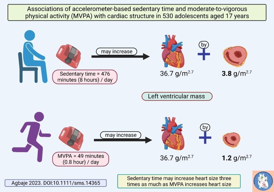 Sedentary time may significantly increase heart size in adolescents