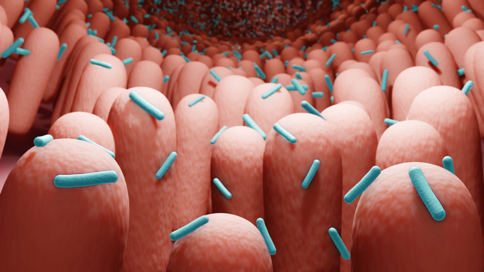 Study: Alterations of gut microbiota in biopsy-proven diabetic nephropathy and a long history of diabetes without kidney damage. Image Credit: ART-ur/Shutterstock.com