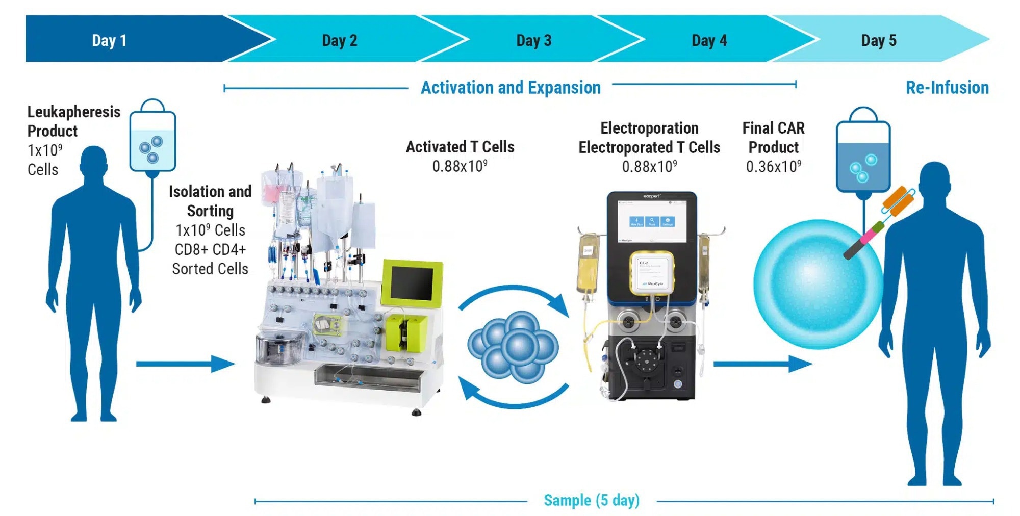 In this interview, NewsMedical talks to James Brady about cell-based therapy and how the field of genetic engineering transformed.