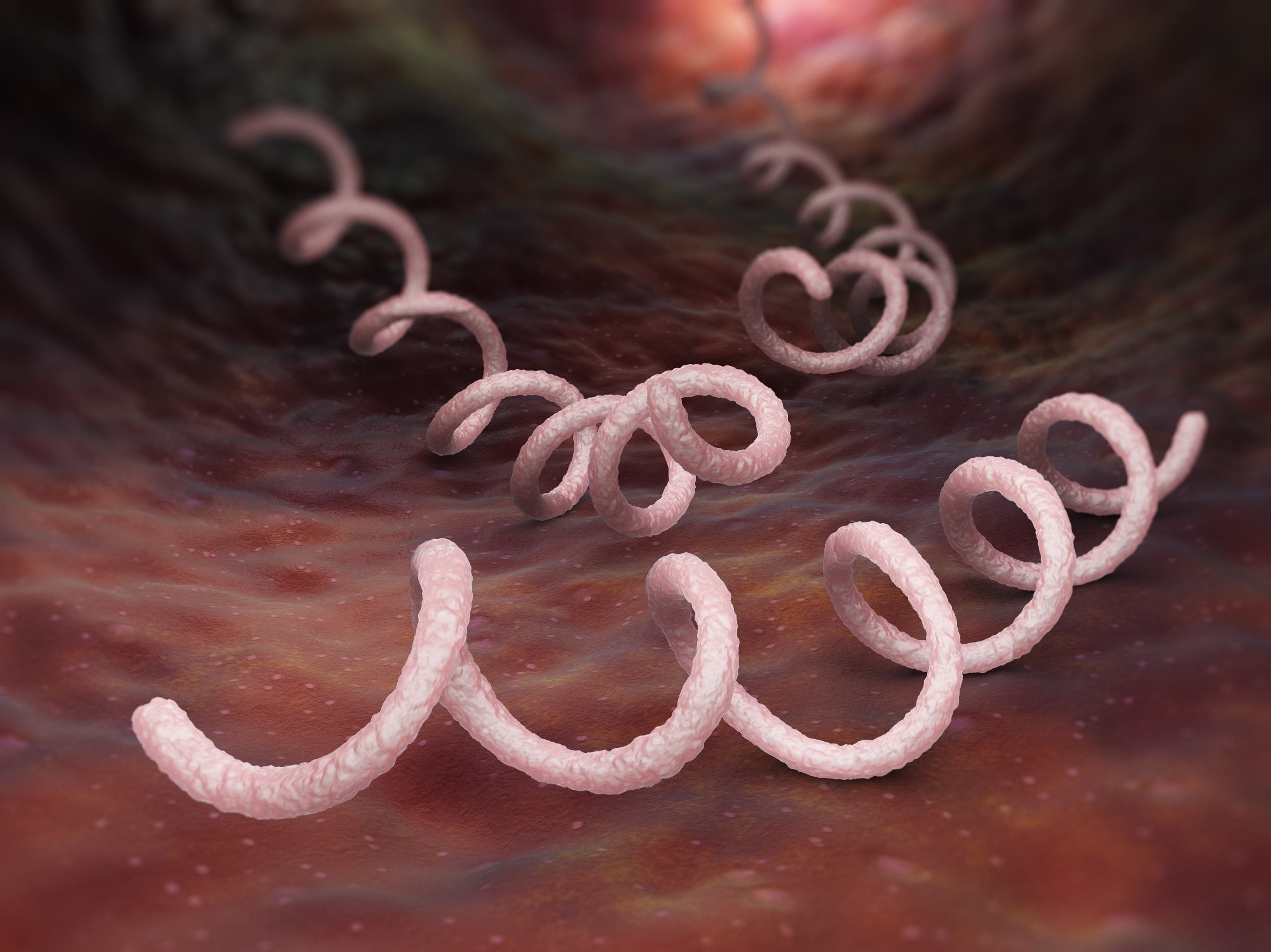 Study: Genomic epidemiology of syphilis in England: a population-based study. Image Credit: Tatiana Shepeleva / Shutterstock.com