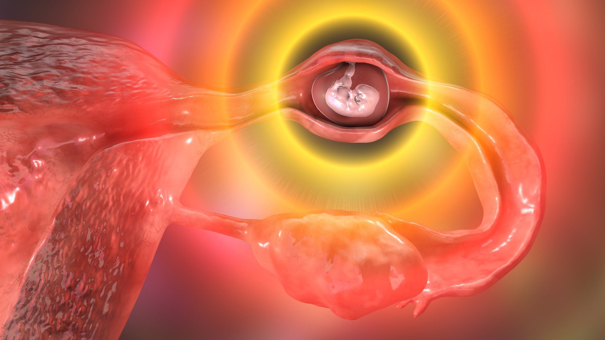 Study: Ectopic pregnancy: search for biomarker in salivary proteome. Image Credit: Kateryna Kon / Shutterstock.com