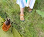 Emerging tick-borne viral threats in eastern europe and the black sea basin