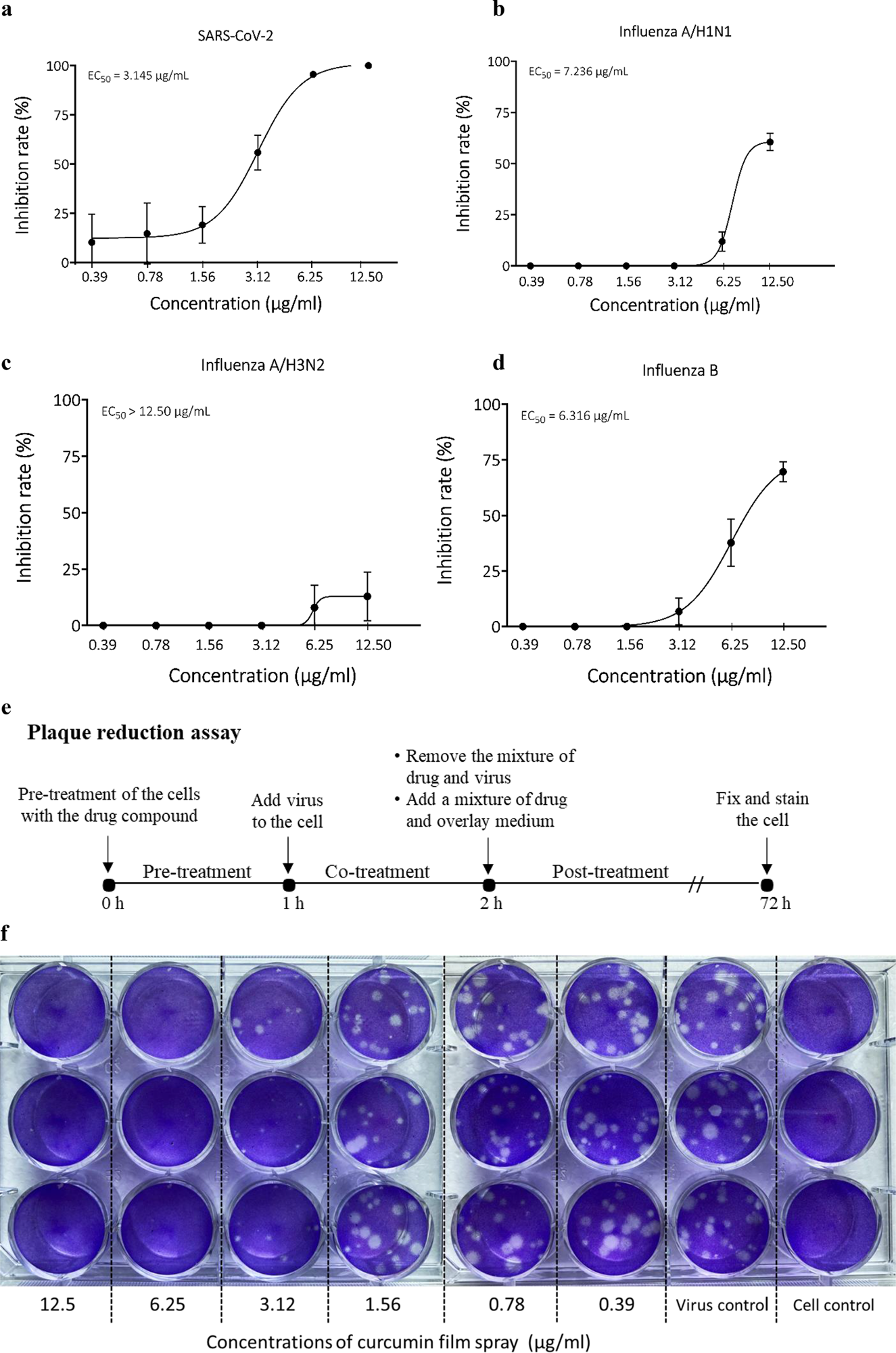Antiviral effect of curcumin film spray against SARS-CoV-2 examined by plaque reduction assay. Dose-response curve of antiviral activity of curcumin film spray against; (a) SARS-CoV-2, (b) influenza A/H1N1, (c) influenza A/H3N2, and (d) influenza B viruses, (e) Diagram for antiviral activity screening by plaque reduction assay, (f) Photo of plaque reduction assay experiment. Each concentration of the film spray was performed in triplicate wells