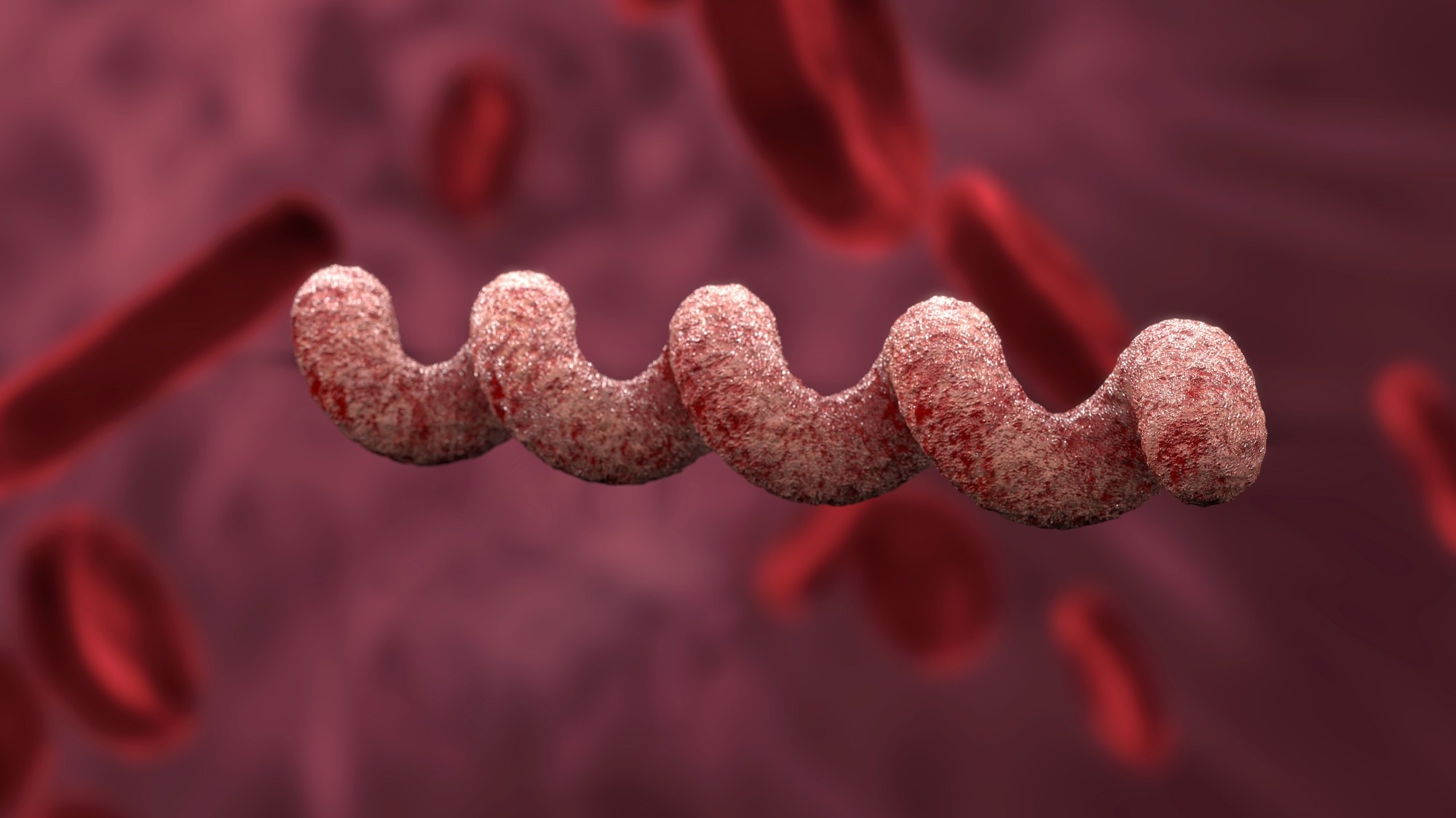 Study: Redefining the treponemal history through pre-Columbian genomes from Brazil. Image Credit: bekirevren / Shutterstock