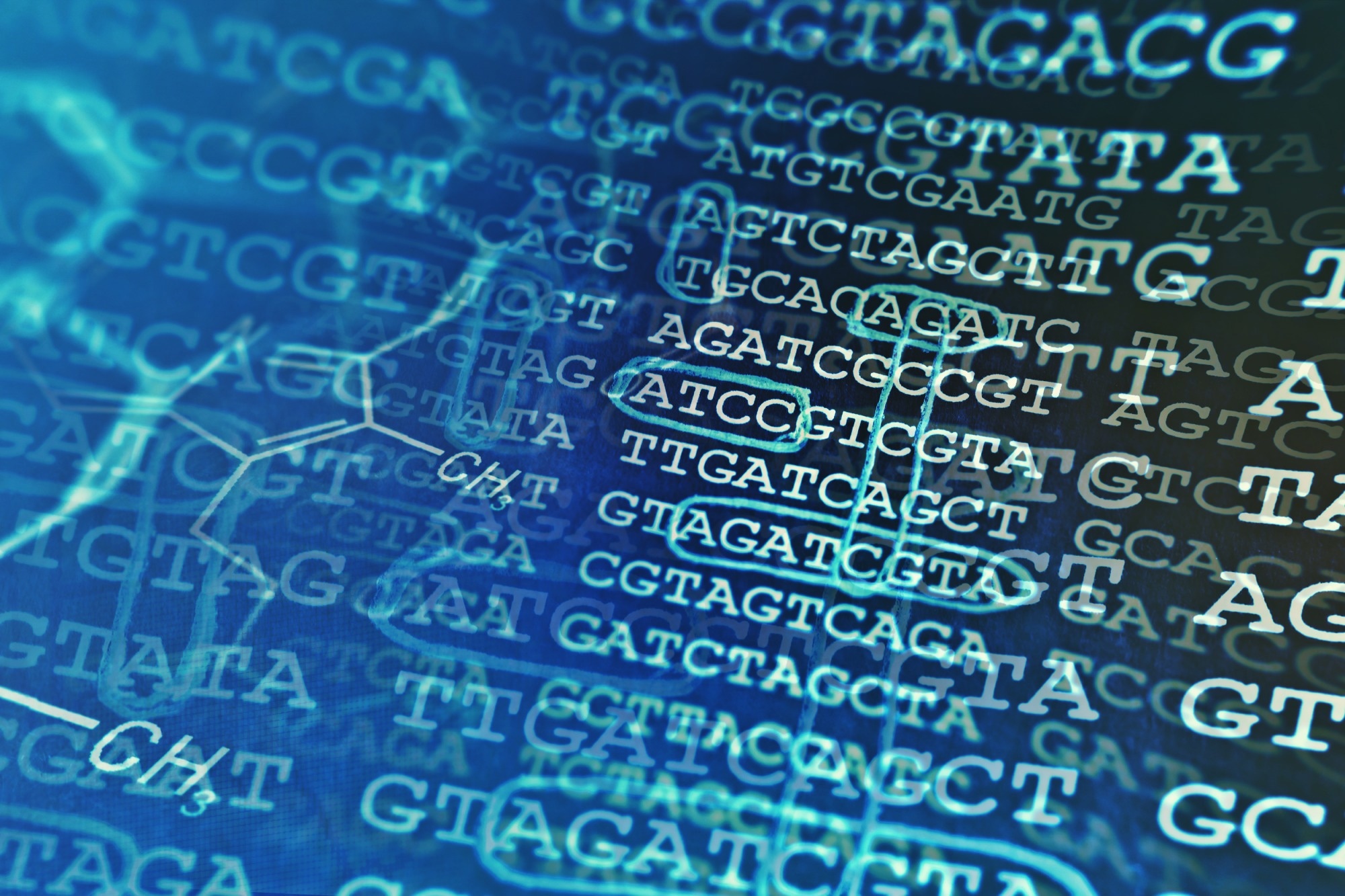 Image Credit: isak55/Shutterstock.com