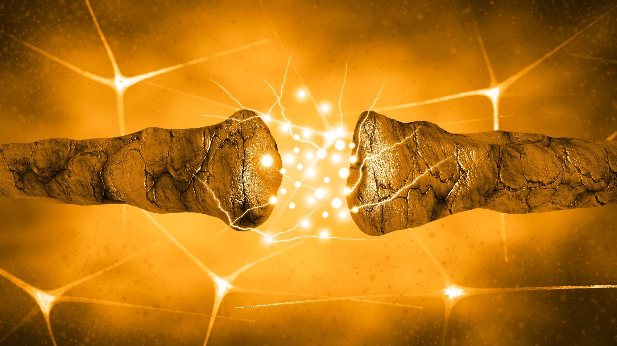 Study: Structure of the human dopamine transporter in complex with cocaine. Image Credit: Naeblys / Shutterstock