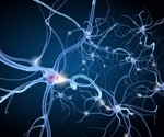 GPePV neurons identified as key players in controlling cocaine addiction behaviors