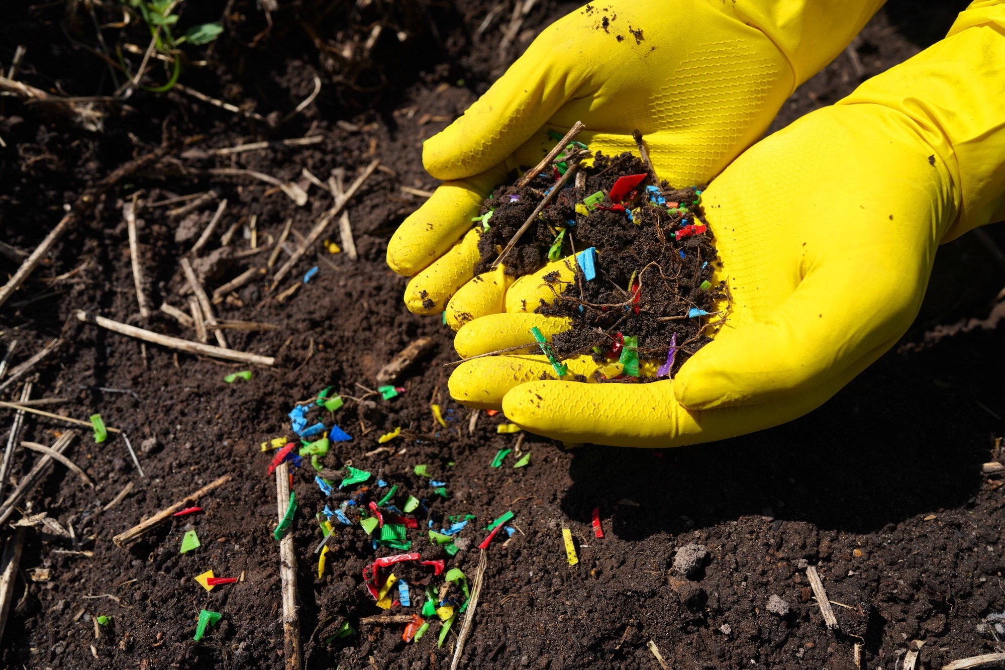 Review: Twenty years of microplastics pollution research—what have we learned? Image Credit: Maksim Safaniuk / Shutterstock