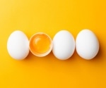 Could eating eggs prevent dementia?