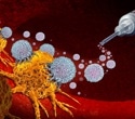Gut microbes influence how well cancer patients respond to immunotherapy