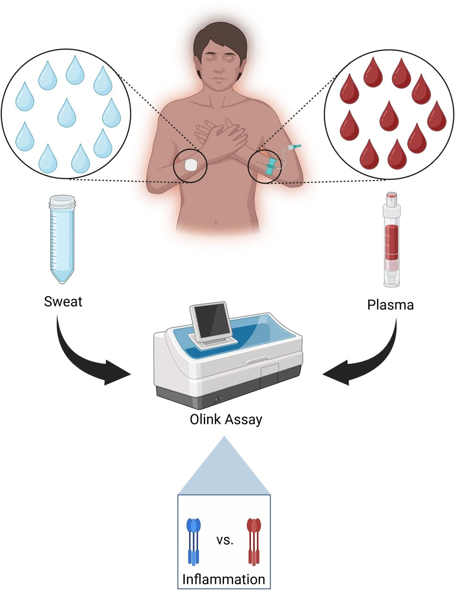 Sweat was collected non-invasively from the skin surface, and plasma was obtained from 18 STEMI patients immediately following PCI, and from 6 controls undergoing outpatient angiography without intervention. Ninety-two inflammatory biomarkers were analyzed using a high-throughput proteomic assay.