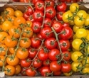 Tomatoes and lycopene: Can eating more reduce your cancer risk?