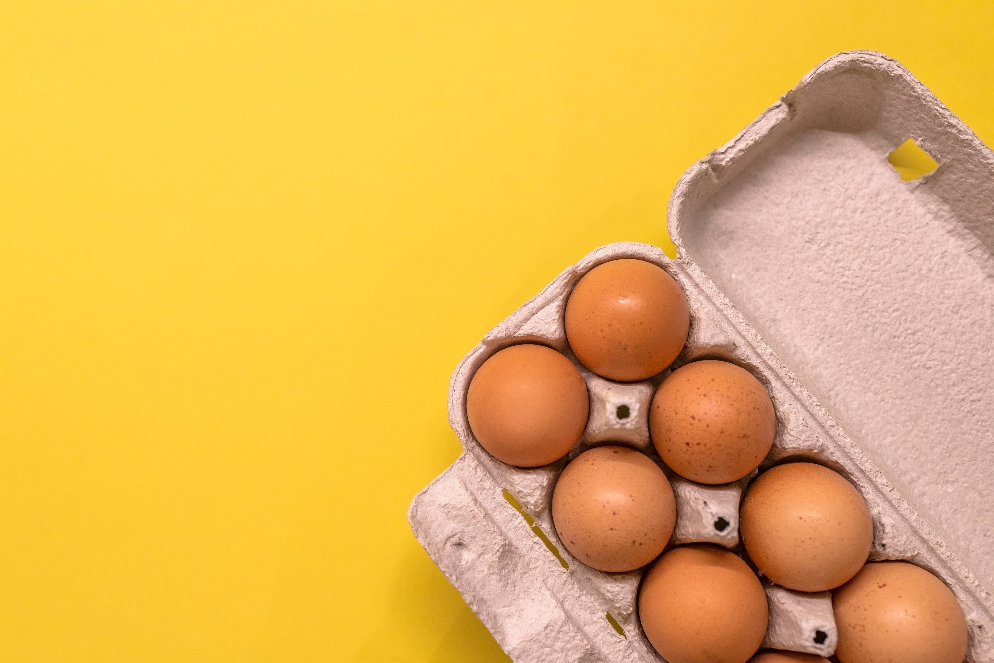 Study: Tolerance to cooked egg in infants with risk factors for egg allergy after early introduction of baked egg. Image Credit: Dragana Gordic / Shutterstock