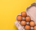 Baked eggs in infancy may lower lifelong egg allergy risk