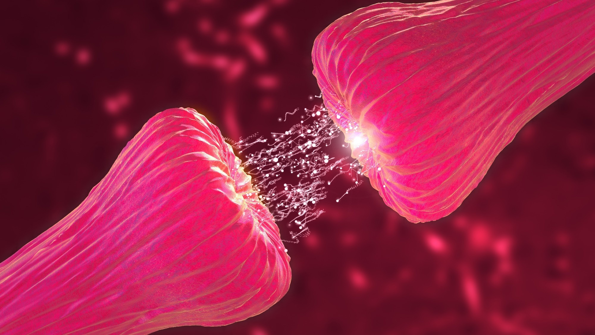 Study: Phase I/II trial of iPS-cell-derived dopaminergic cells for Parkinson’s disease. Image Credit: Cinefootage Visuals / Shutterstock