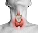 Vegetarians may need to watch thyroid health, especially with low iodine intake