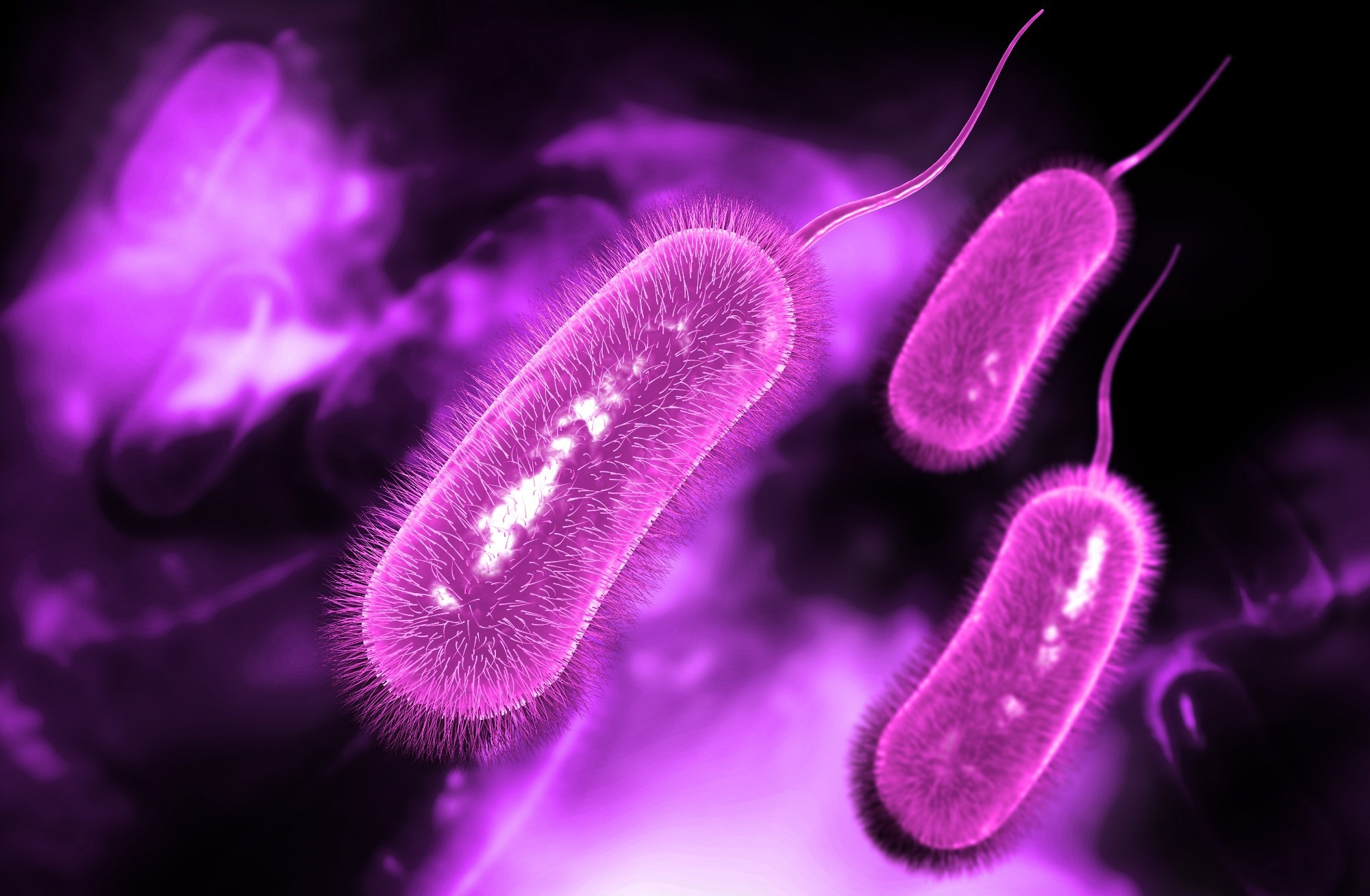 Study: Helicobacter pylori infection might be a protective factor against Parkinson’s disease. Image Credit: Liya Graphics / Shutterstock