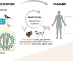 What makes H5N1 a pandemic risk and how can we stop it?