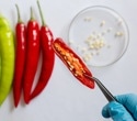 Do spicy foods help or hurt your gut health?