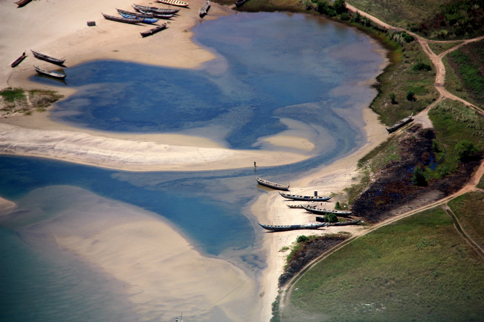 Study: Cancer risk from heavy metal contamination in fish and implications for public health. Image Credit: schusterbauer.com / Shutterstock