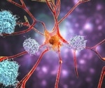 Dual cancer drugs restore memory and rewire brain cells in Alzheimer’s mouse models
