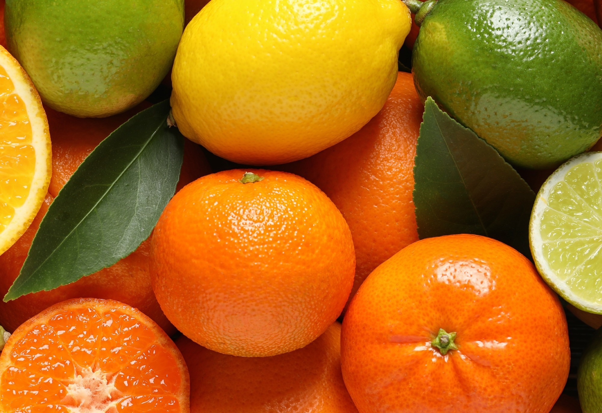 Systematic Review: Endothelial and Cardiovascular Effects of Naringin: A Systematic Review. Image Credit: New Africa / Shutterstock