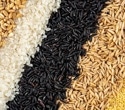 Scientists rank the healthiest grains using new nutrition scores