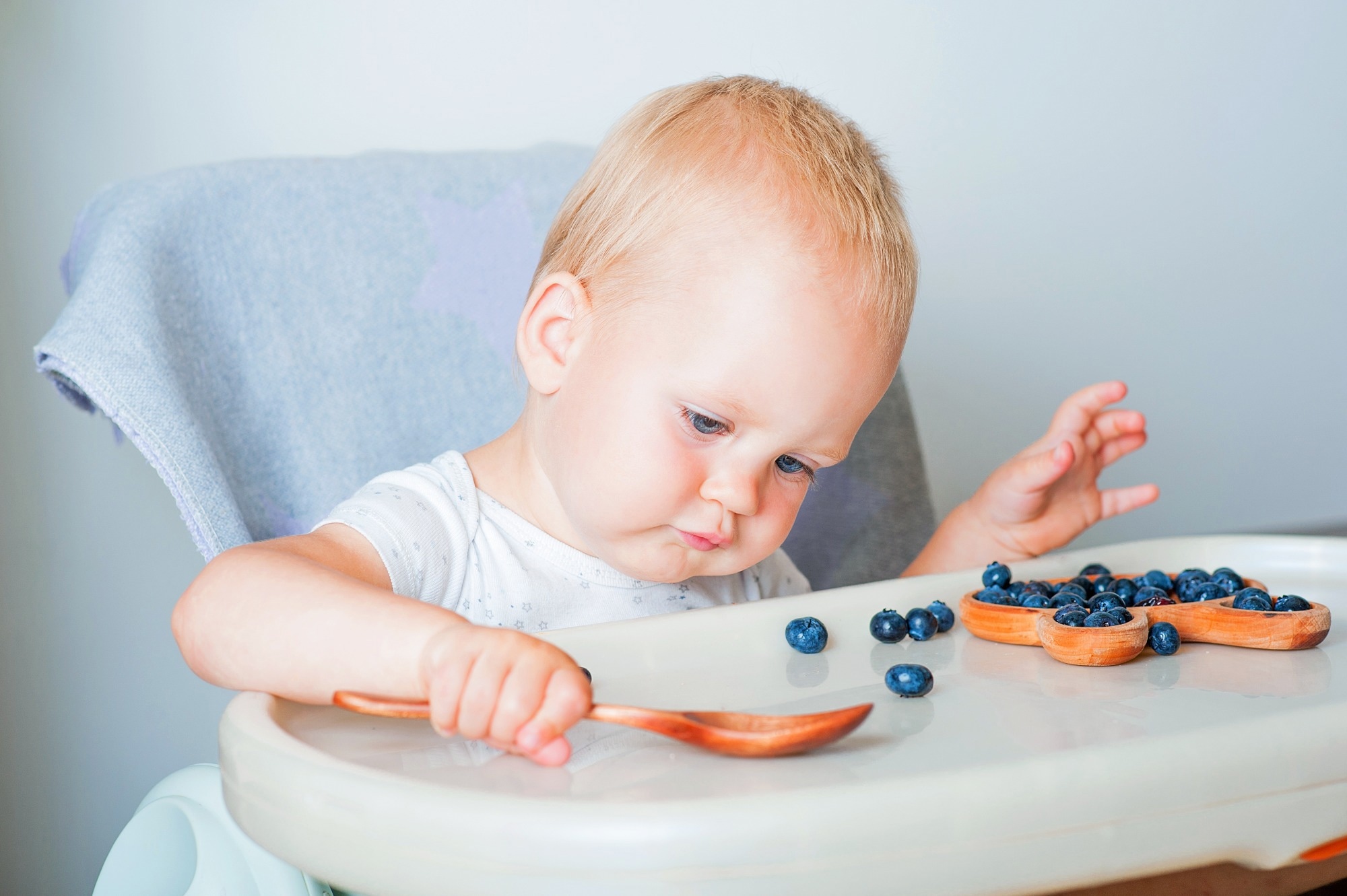 Study: Blueberry Consumption in Early Life and Its Effects on Allergy, Immune Biomarkers, and Their Association with the Gut Microbiome. Image Credit: SoNelly / Shutterstock 