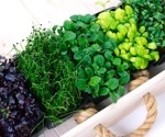 Can cereal microgreens become the next sustainable superfood?