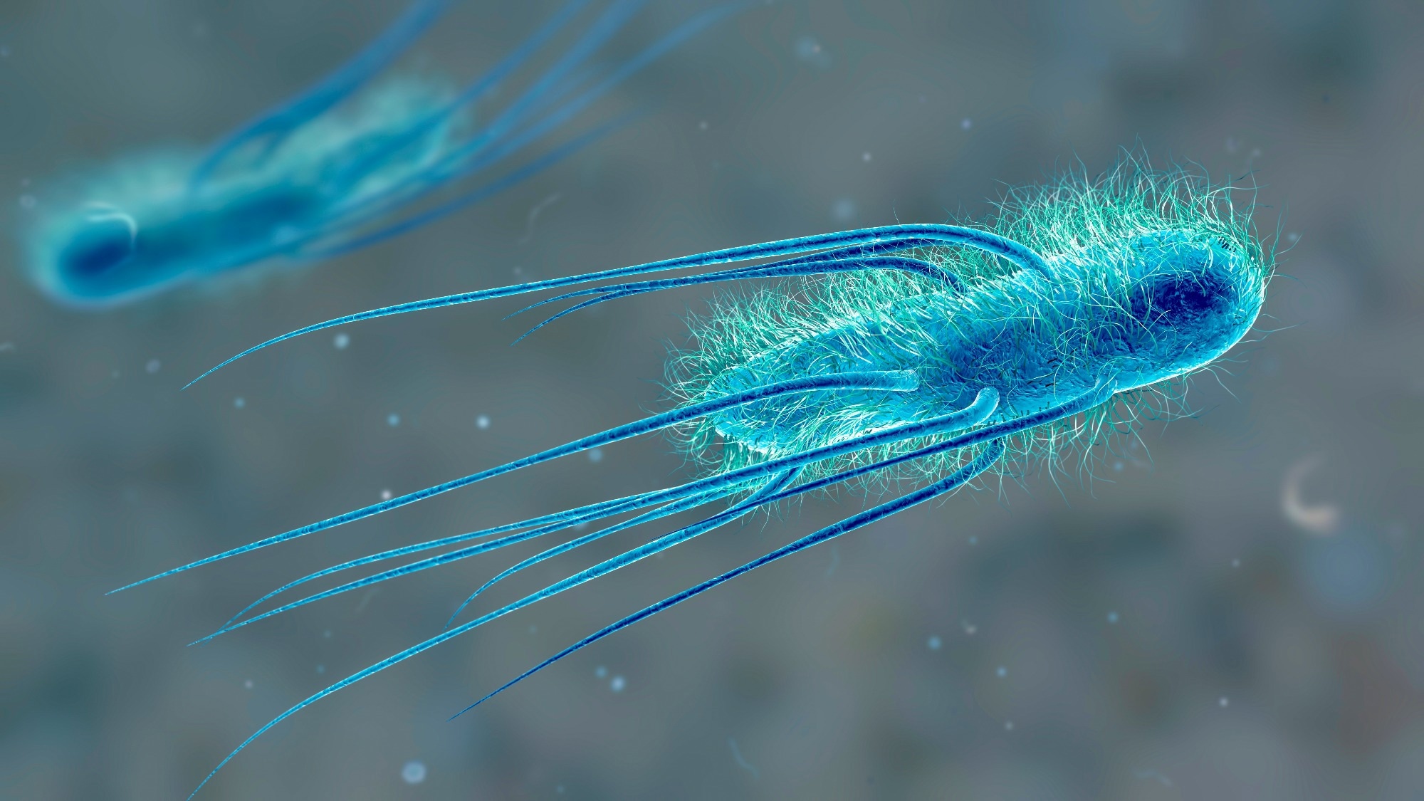 Global antibiotic resistance surveillance report 2025. Image Credit: Kateryna Kon / Shutterstock