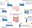 How gut microbes shape sleep: New review reveals microbiome clues to insomnia and apnea