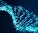 11 genetic loci that shape impulsive decision-making
