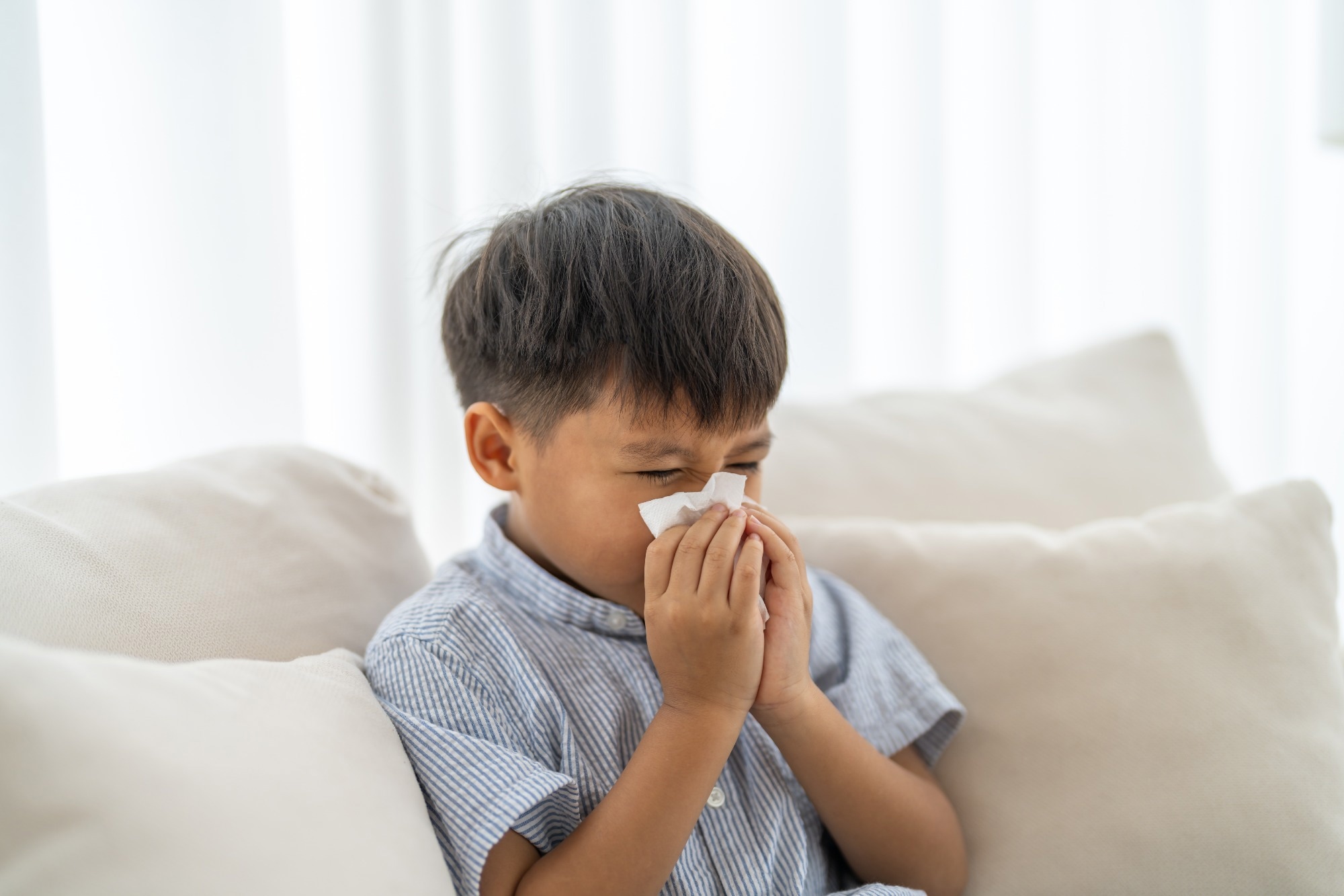 Study: Maternal allergy and neonatal RSV infection synergize via FcR-mediated allergen uptake to promote the development of asthma in early life. Image Credit: Art_Photo  / Shutterstock