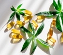 Plant-based omega-3s work better than expected in a year-long diet study
