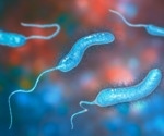 Dietary protein reshapes how cholera bacteria colonize the gut
