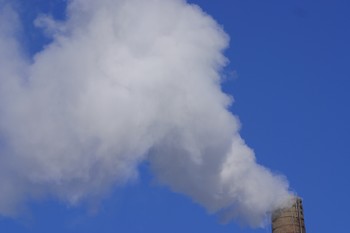 A new study of 60 newborns in New York City reveals that exposure of expectant mothers to combustion-related urban air pollution may alter the structure of babies