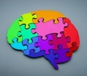 Why individual differences hold the key to unlocking psychiatric mysteries
