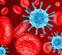 Study uncovers how a specific immune cell may contribute to HIV persistence