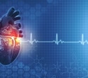 Tailored vitamin D regimens offer significant cardiac benefit
