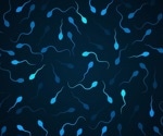 Understanding the role of genetic variants in male infertility