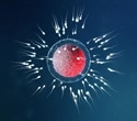 Study uncovers key protein complex controlling sperm motility and male fertility