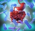 Genes influence the gut microbiome beyond the individual
