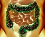 Study reveals how gut fungi influence the brain’s dopamine response to alcohol
